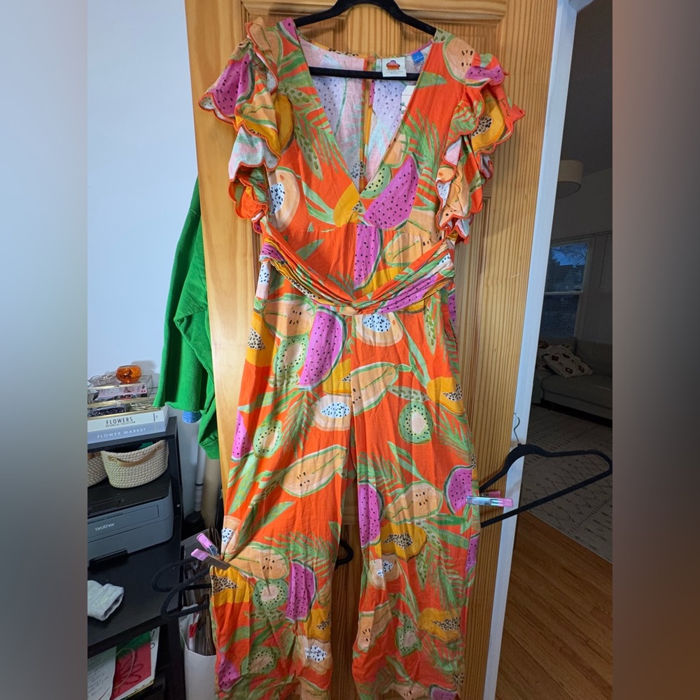 Farm Rio for Anthropologie fruits Jumpsuits size large-14